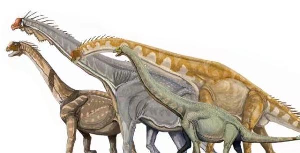恐龍的整體演化趨勢是大型化。