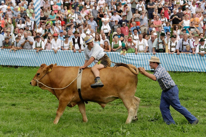 Germany Bull Race | FunFeed