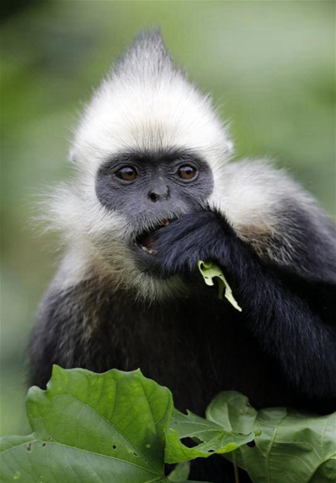 Harmony between animals and nature | China