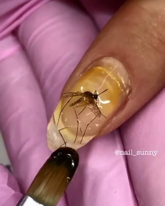 Your Worst Nightmare This Nail Artist Literally Puts Dead Bugs In Her  Manicures