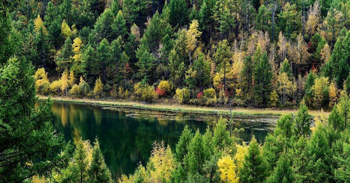 Autumn scenery of N China's Inner Mongolia | China | Bastille Post