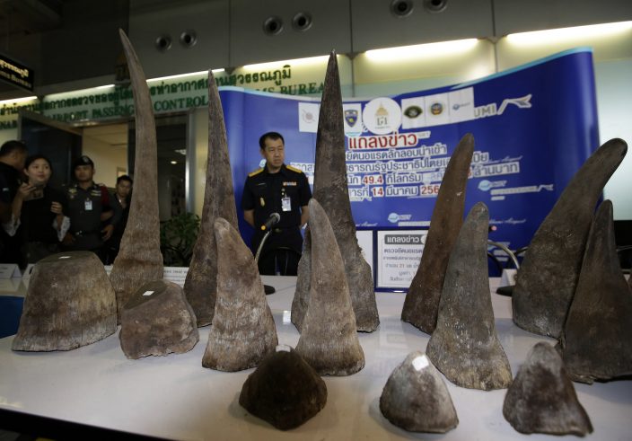 thailand-sentences-3-to-prison-over-smuggling-of-rhino-horns-news