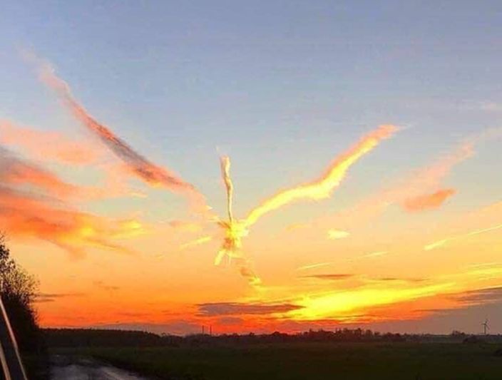 「火焰鳥展翅現霸氣」 網民影到奇景好驚艷