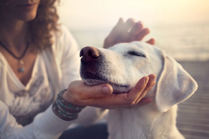 爱犬刚离世天空浮现 脸庞云朵 巧合照片引众多狗主共鸣 奇闻趣事